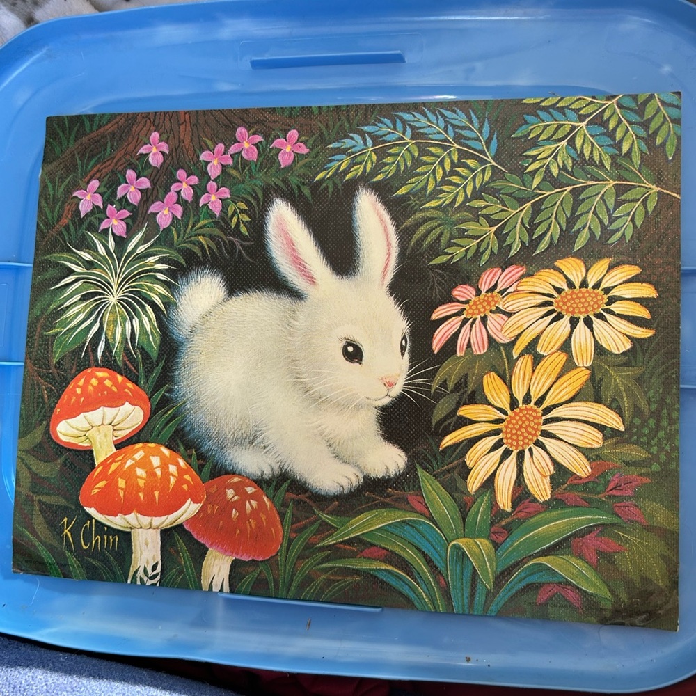 1970's K Chin Art Prints-Adorable White Bunny Rabbit Vintage
